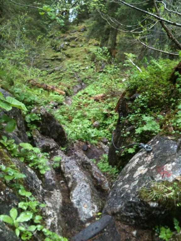 Ferienwohnungen Neukirchen Neukirchen am Teisenberg Eksteriør billede